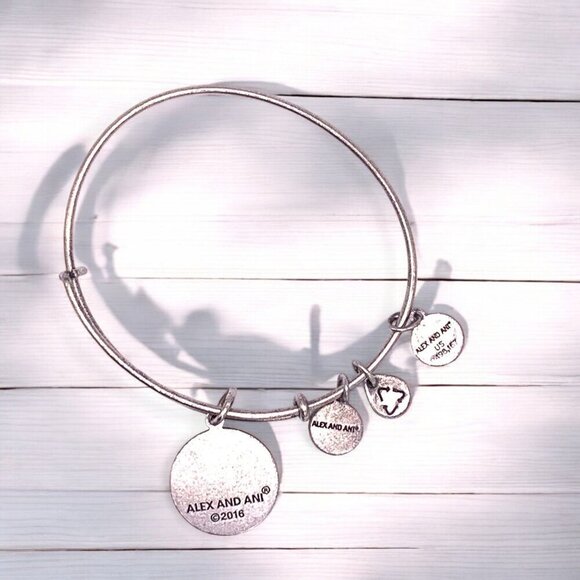 Alex And Ani US Air Force Charm Bangle Bracelet Silver Finish Expandable - Picture 2 of 2